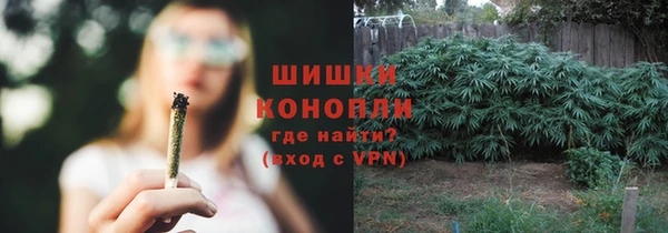 мяу мяу мука Баксан