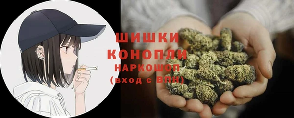 PSILOCYBIN Балабаново