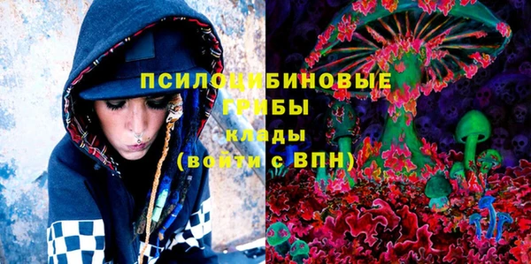 PSILOCYBIN Балабаново