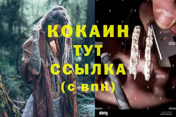 мяу мяу мука Баксан