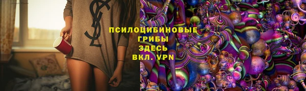 PSILOCYBIN Балабаново