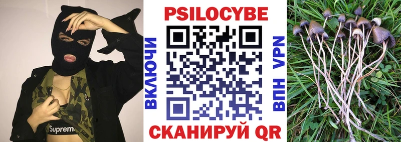 Псилоцибиновые грибы мухоморы  даркнет наркотические препараты  Курганинск  гидра зеркало 